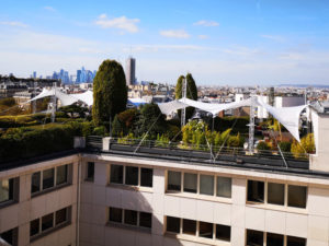 Voile Lycra en rooftop