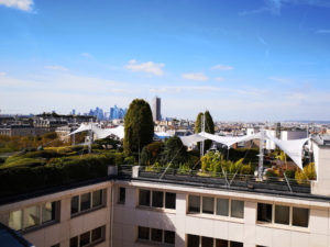 Voile Lycra en rooftop